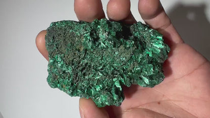 0.33 LB Fibrous Malachite Collector Specimen