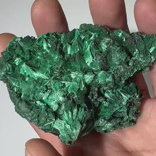 0.37 LB Fibrous Malachite Collector Specimen