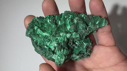 0.37 LB Fibrous Malachite Collector Specimen