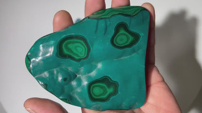 0.68 LB Polished Malachite & Chrysocolla Freeform