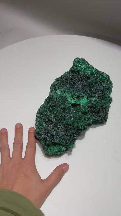 5.38 LB Fibrous Malachite Collector Specimen