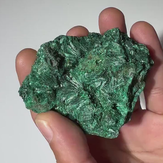 0.52 LB Fibrous Malachite Collector Specimen