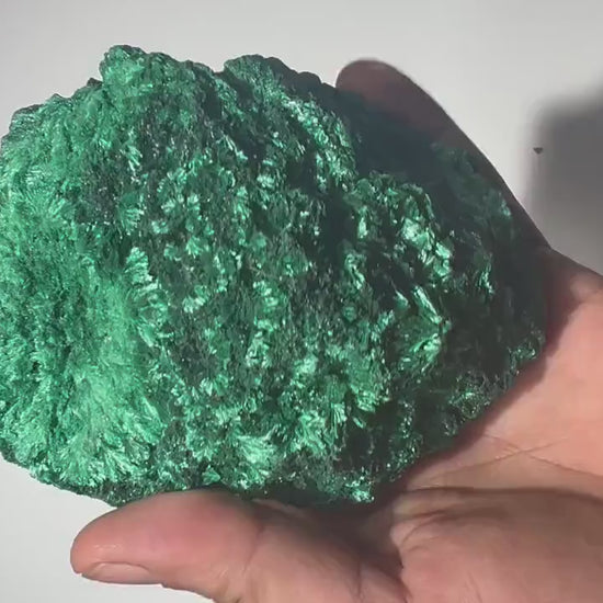 1.4 LB Fibrous Malachite Collector Specimen