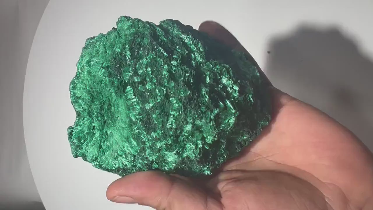 1.4 LB Fibrous Malachite Collector Specimen