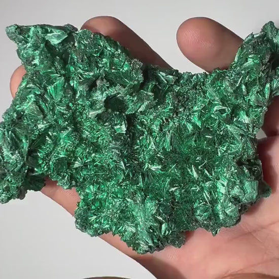 0.4 LB Fibrous Malachite Collector Specimen