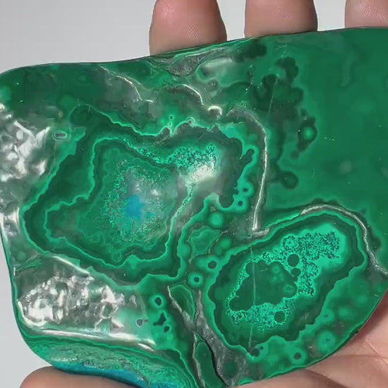 0.46 LB Polished Malachite & Chrysocolla Freeform