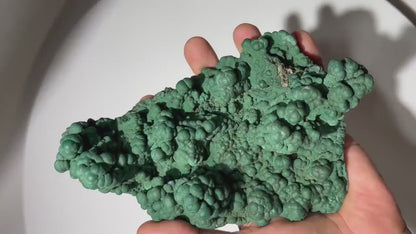 1.47 LB Botryoidal Malachite Crystallized Specimen