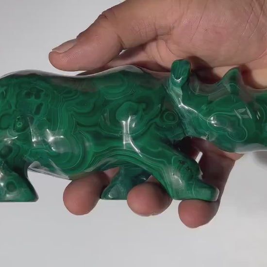 2.23 LB Carved Malachite Rhinoceros