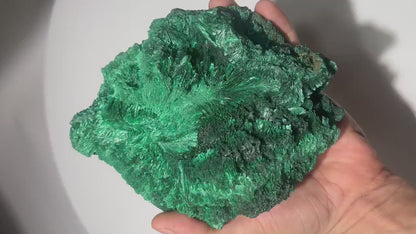 2.8 LB Fibrous Malachite Collector Specimen