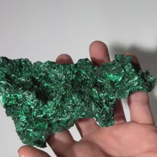 0.6 LB Fibrous Malachite Collector Specimen