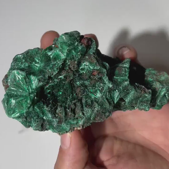 1 LB Fibrous Malachite Collector Specimen