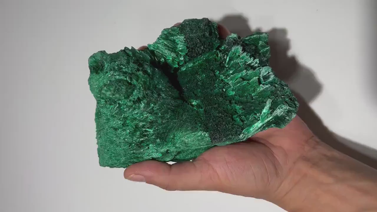 3.1 LB, 6 inches MEDIUM Cabinet Museum Piece Chatoyant Fibrous Malachite Specimen