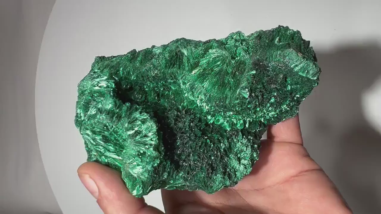 1.1 LB Fibrous Malachite Collector Specimen