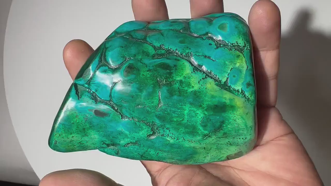 1.25 LB Polished Malachite & Chrysocolla Freeform