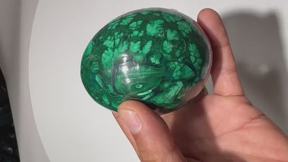 1.48 LB BIG Malachite Egg