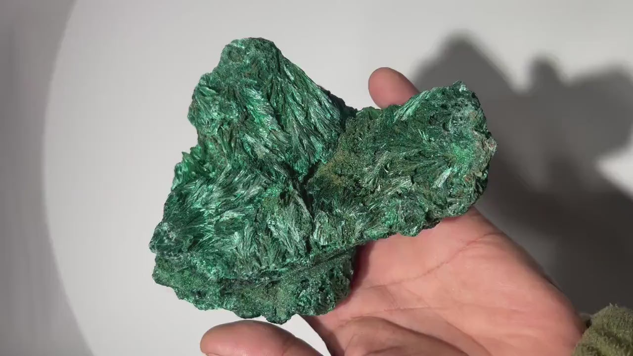 1.8 LB Fibrous Malachite Collector Specimen