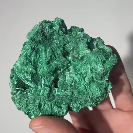 0.4 LB Fibrous Malachite Collector Specimen