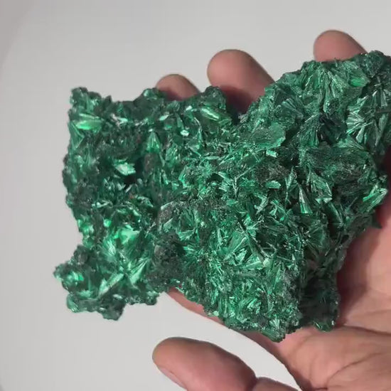 1 LB Fibrous Malachite Collector Specimen