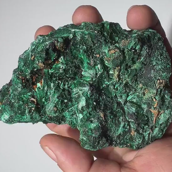 0.9 LB Fibrous Malachite Collector Specimen