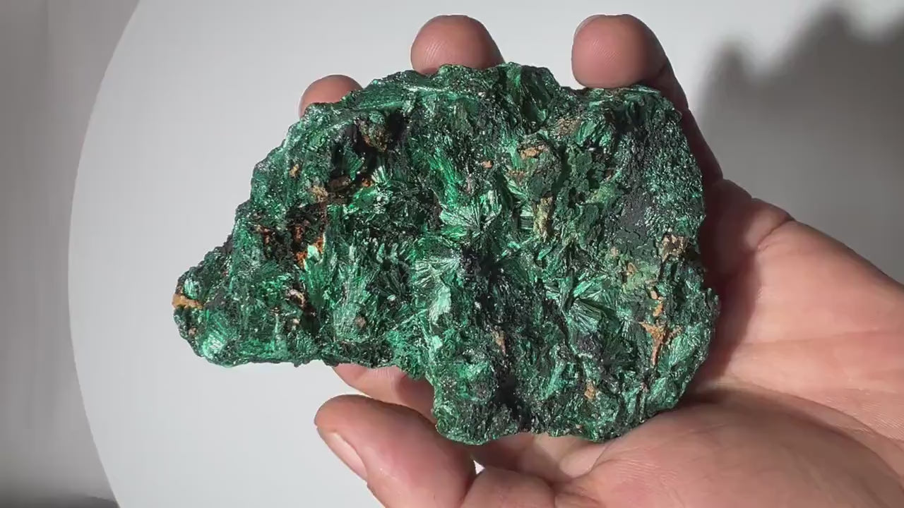 0.9 LB Fibrous Malachite Collector Specimen